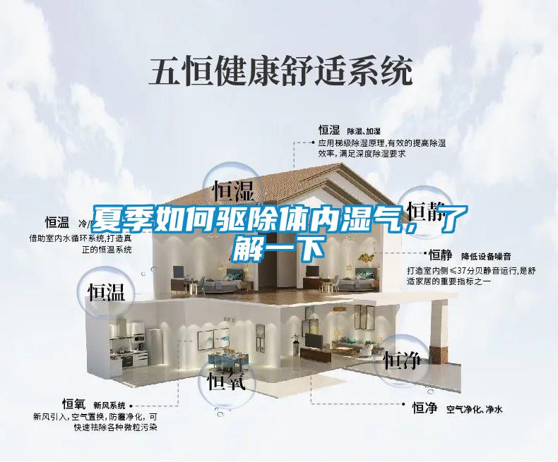 夏季如何驅除體內濕氣，了解一下
