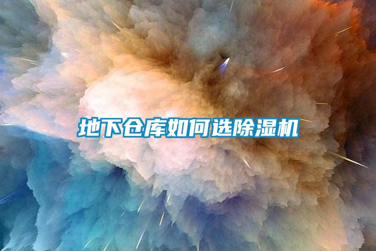 地下倉(cāng)庫(kù)如何選除濕機(jī)