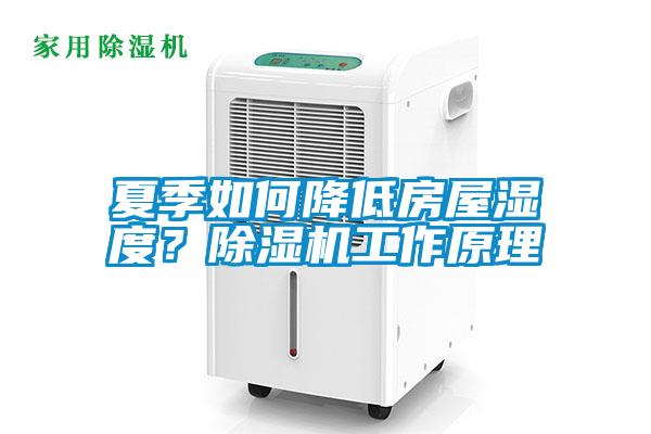 夏季如何降低房屋濕度？除濕機工作原理