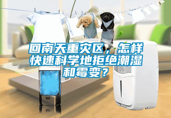 回南天重災(zāi)區(qū)，怎樣快速科學(xué)地拒絕潮濕和霉變？