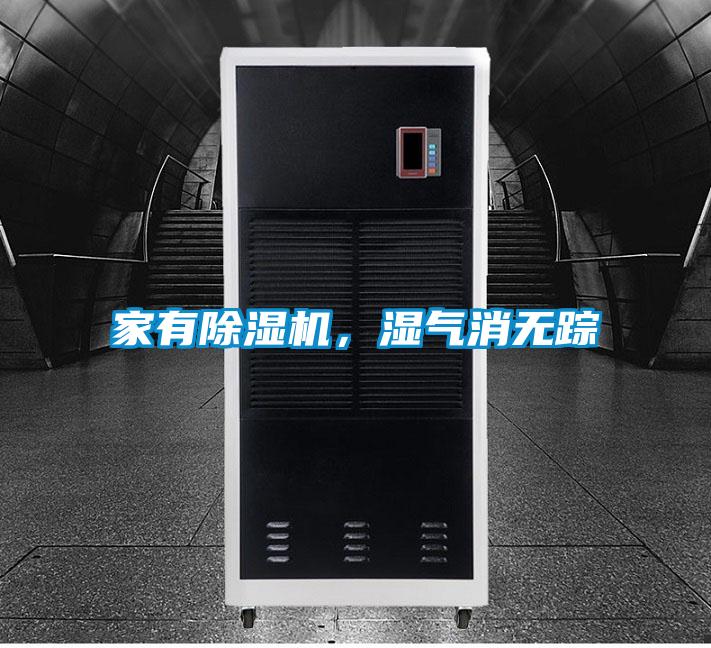 家有除濕機，濕氣消無蹤