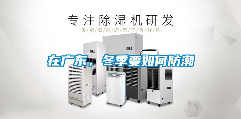 在廣東，冬季要如何防潮
