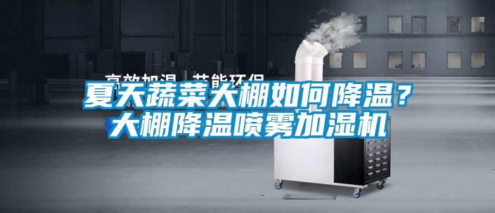 夏天蔬菜大棚如何降溫？大棚降溫噴霧加濕機