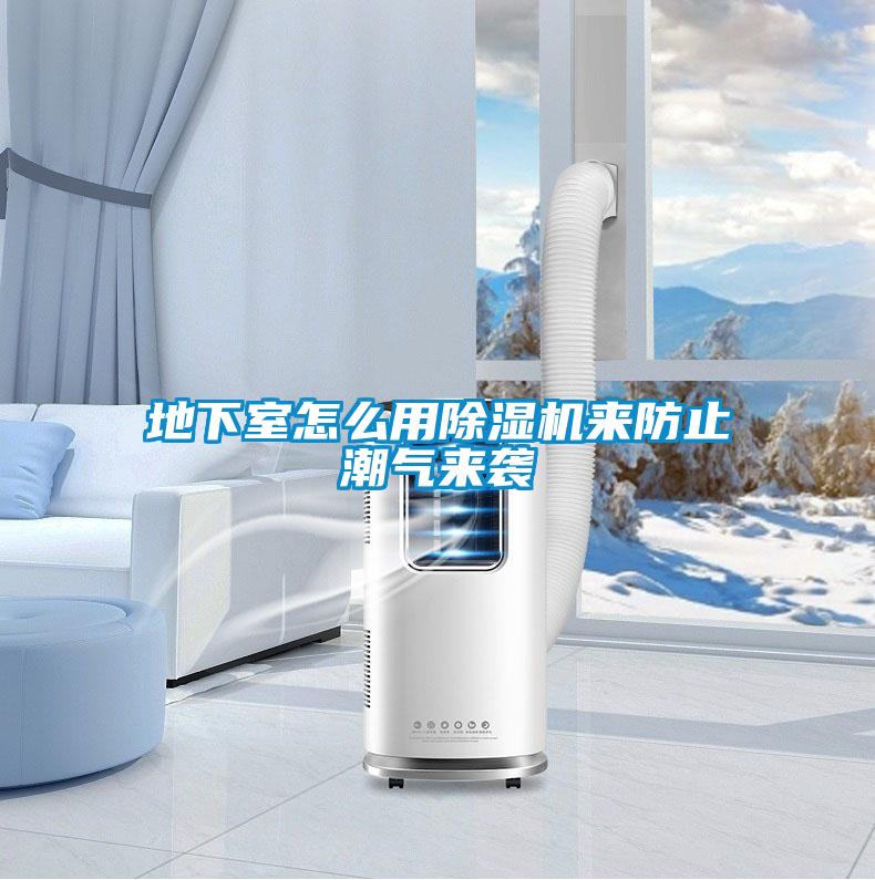 地下室怎么用除濕機來防止潮氣來襲