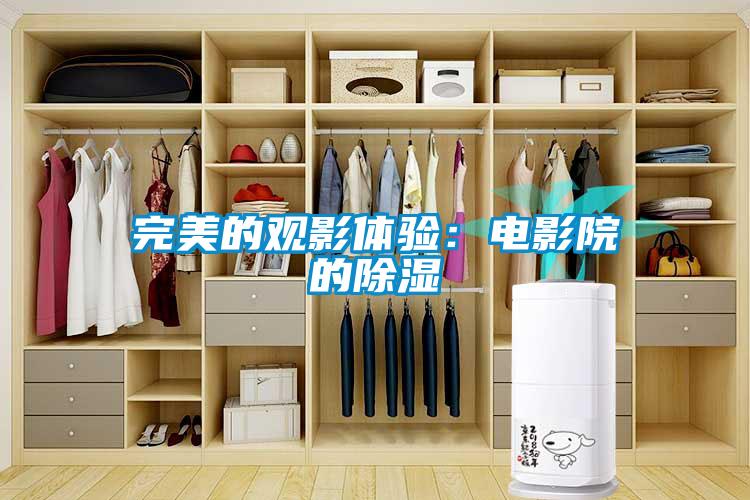 完美的觀影體驗(yàn)：電影院的除濕