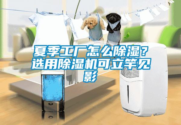 夏季工廠怎么除濕？選用除濕機(jī)可立竿見影
