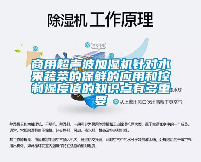 商用超聲波加濕機(jī)針對水果蔬菜的保鮮的應(yīng)用和控制濕度值的知識點(diǎn)有多重要