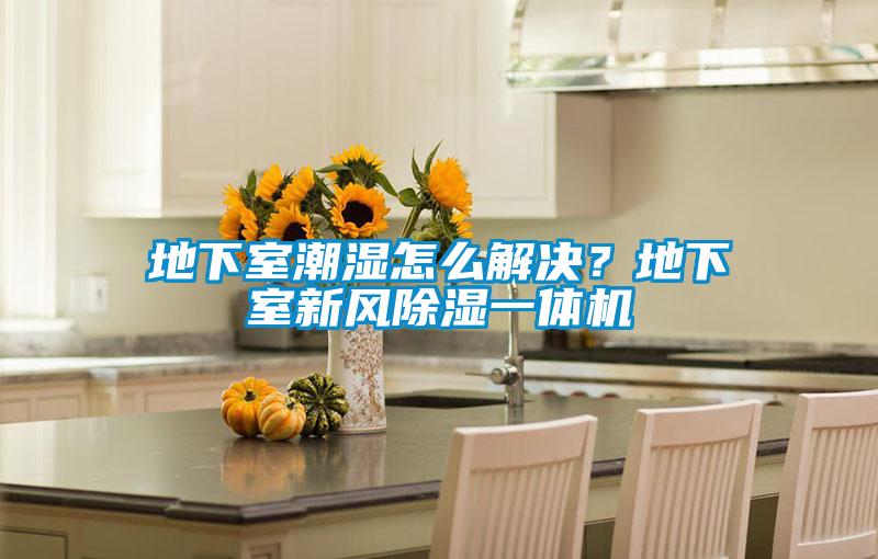 地下室潮濕怎么解決？地下室新風除濕一體機