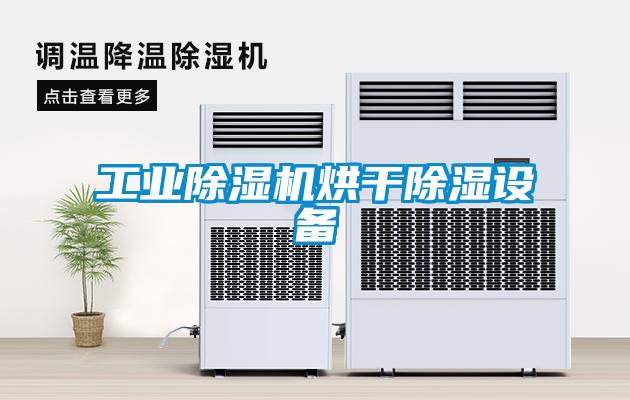 工業除濕機烘干除濕設備