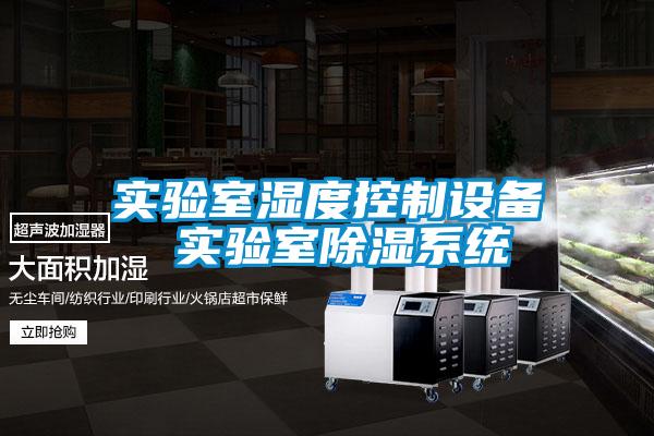實(shí)驗(yàn)室濕度控制設(shè)備 實(shí)驗(yàn)室除濕系統(tǒng)