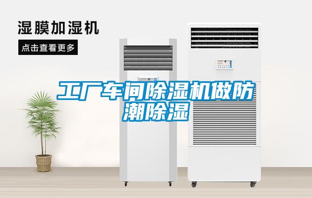 工廠車間除濕機做防潮除濕