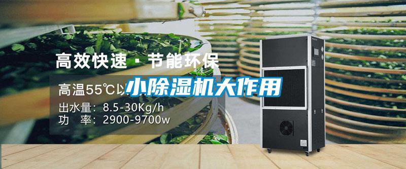 小除濕機大作用