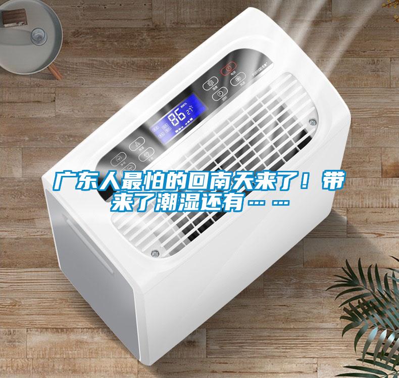 廣東人最怕的回南天來了！帶來了潮濕還有……