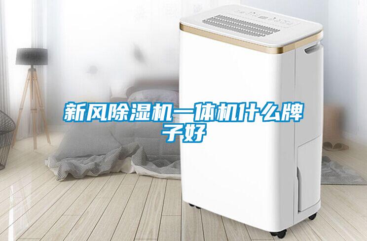 新風(fēng)除濕機(jī)一體機(jī)什么牌子好