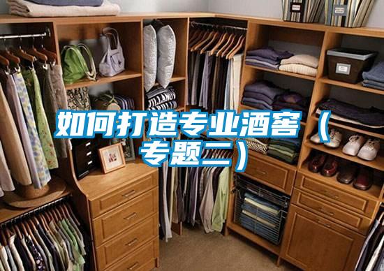 如何打造專業酒窖（專題二）