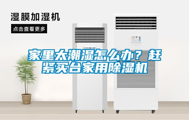 家里太潮濕怎么辦？趕緊買臺家用除濕機