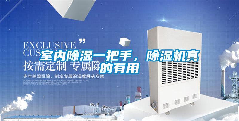 室內除濕一把手，除濕機真的有用