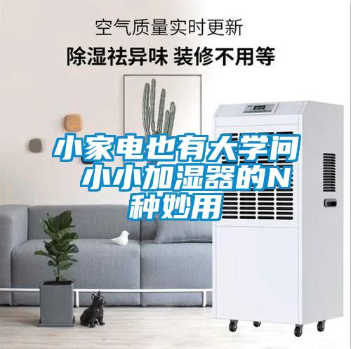 小家電也有大學問 小小加濕器的N種妙用