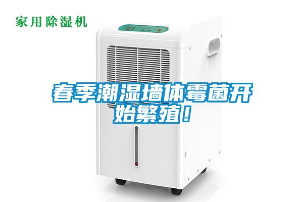 春季潮濕墻體霉菌開始繁殖！