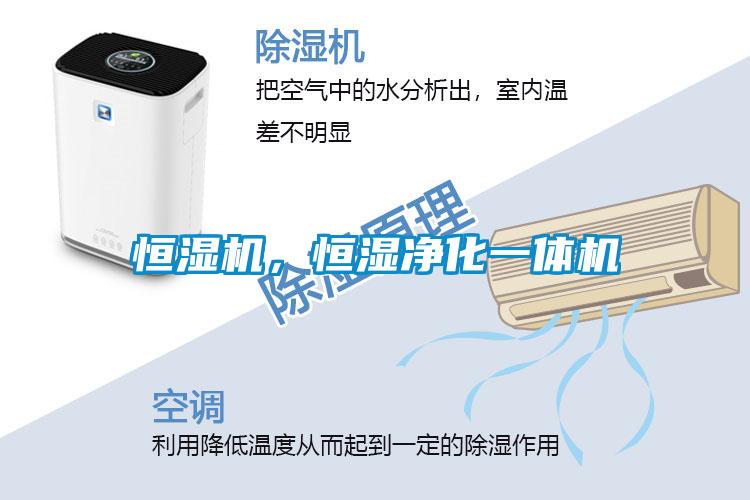 恒濕機，恒濕凈化一體機