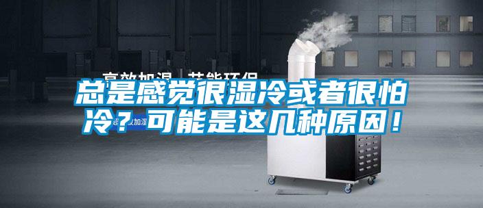總是感覺很濕冷或者很怕冷？可能是這幾種原因！
