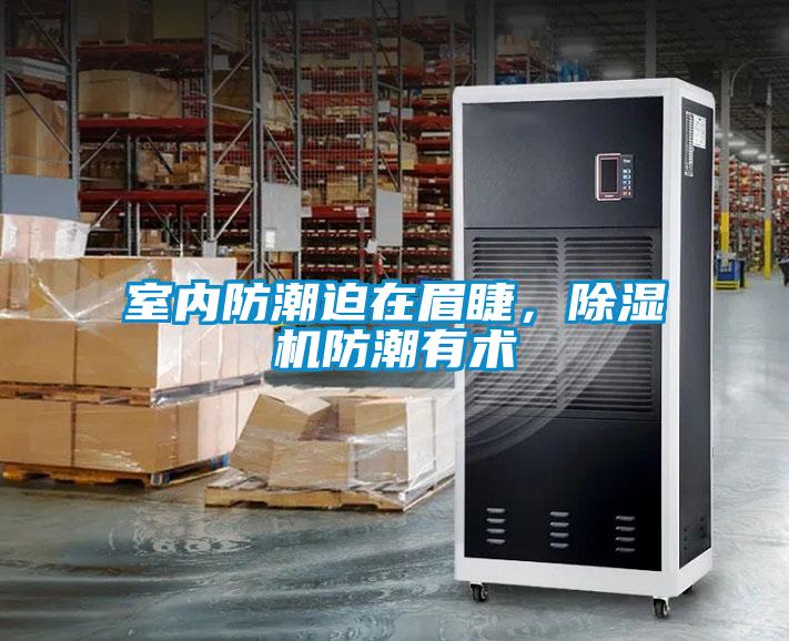室內防潮迫在眉睫，除濕機防潮有術