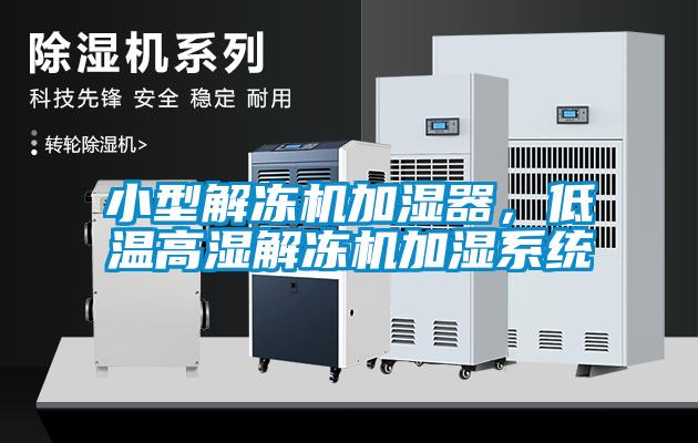 小型解凍機(jī)加濕器，低溫高濕解凍機(jī)加濕系統(tǒng)