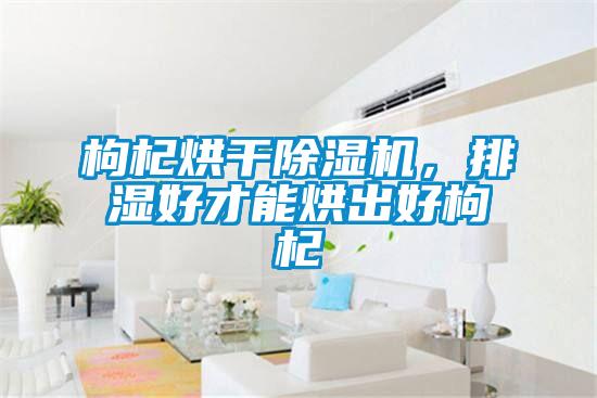 枸杞烘干除濕機，排濕好才能烘出好枸杞