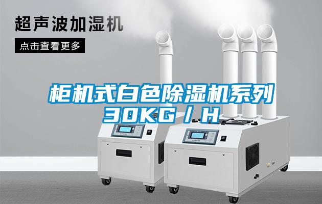 柜機(jī)式白色除濕機(jī)系列30KG／H