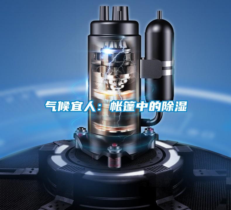 氣候宜人：帳篷中的除濕