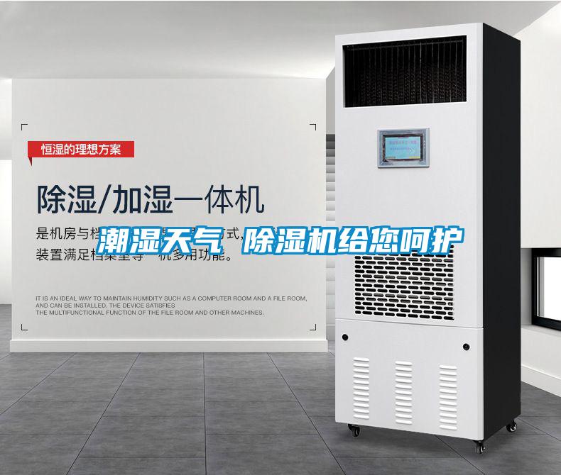 潮濕天氣 除濕機(jī)給您呵護(hù)