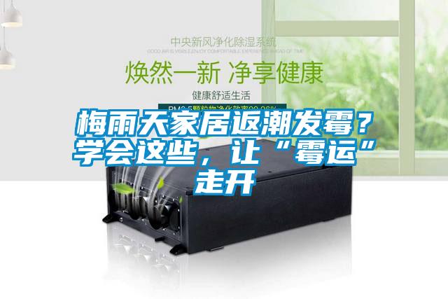 梅雨天家居返潮發霉？學會這些，讓“霉運”走開