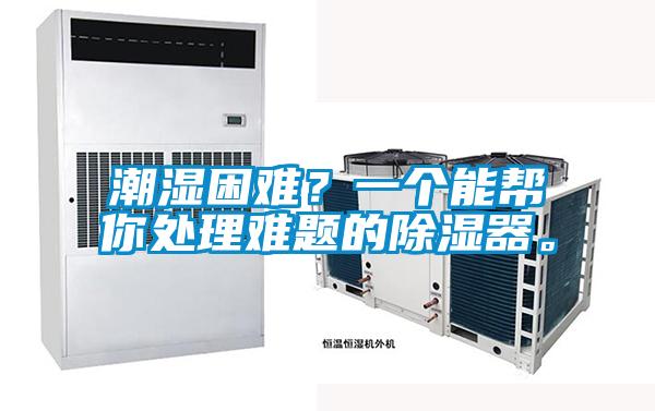 潮濕困難？一個(gè)能幫你處理難題的除濕器。