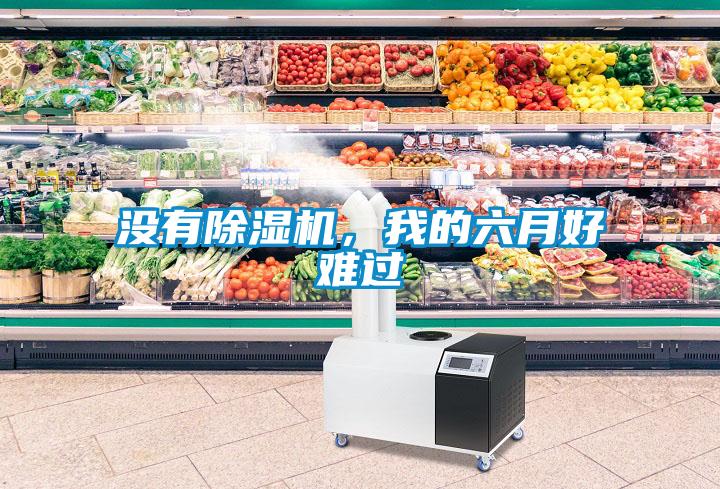 沒有除濕機，我的六月好難過