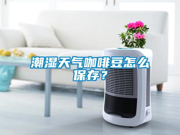 潮濕天氣咖啡豆怎么保存？