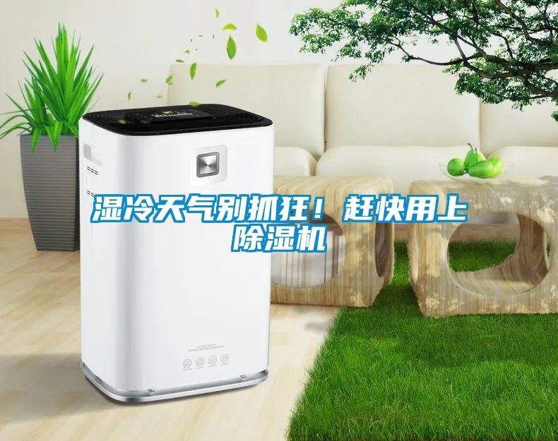 濕冷天氣別抓狂！趕快用上除濕機