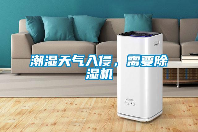 潮濕天氣入侵，需要除濕機