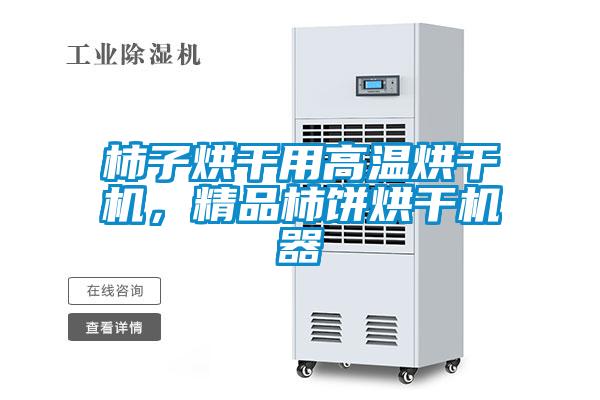 柿子烘干用高溫烘干機，精品柿餅烘干機器