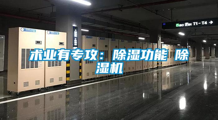 術業有專攻：除濕功能≠除濕機