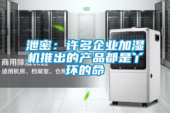泄密：許多企業加濕機推出的產品都是丫環的命