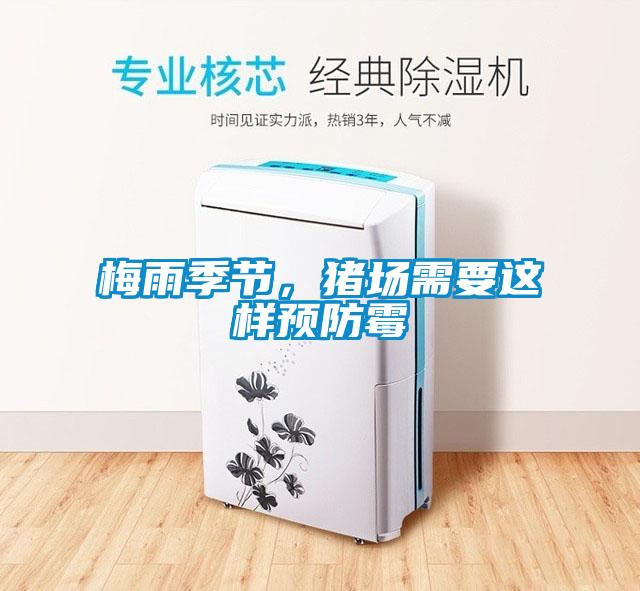 梅雨季節，豬場需要這樣預防霉
