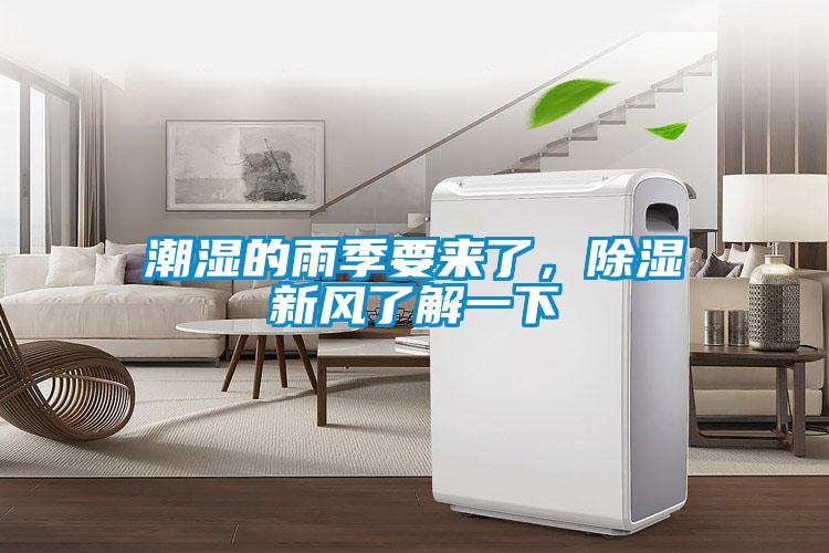 潮濕的雨季要來了，除濕新風了解一下