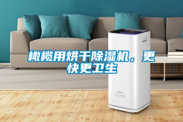 橄欖用烘干除濕機，更快更衛生