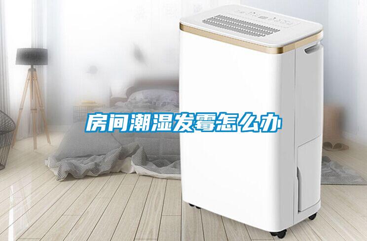 房間潮濕發霉怎么辦