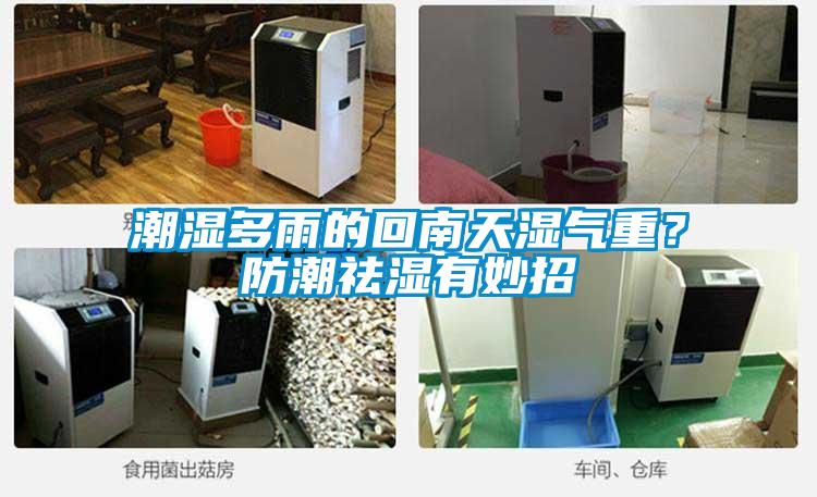 潮濕多雨的回南天濕氣重？防潮祛濕有妙招