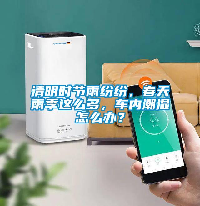 清明時節雨紛紛，春天雨季這么多，車內潮濕怎么辦？