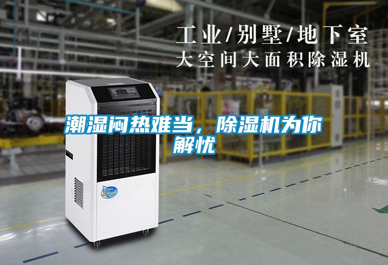 潮濕悶熱難當，除濕機為你解憂