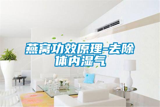 燕窩功效原理-去除體內濕氣