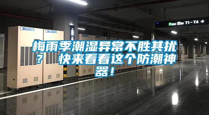 梅雨季潮濕異常不勝其擾？ 快來看看這個防潮神器！