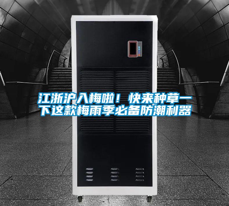 江浙滬入梅啦！快來種草一下這款梅雨季必備防潮利器